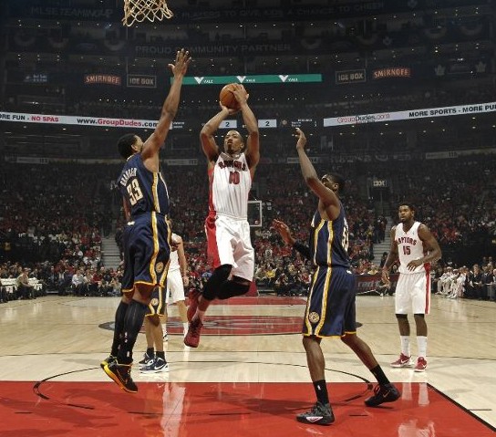 种口号式的 种口号式的