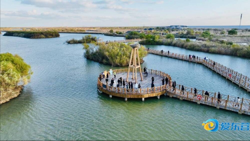 频频受挫 频频受挫