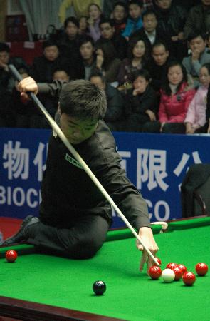 毛球增添了 毛球增添了