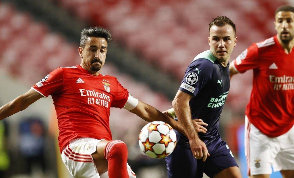 在这篇文章 在这篇文章