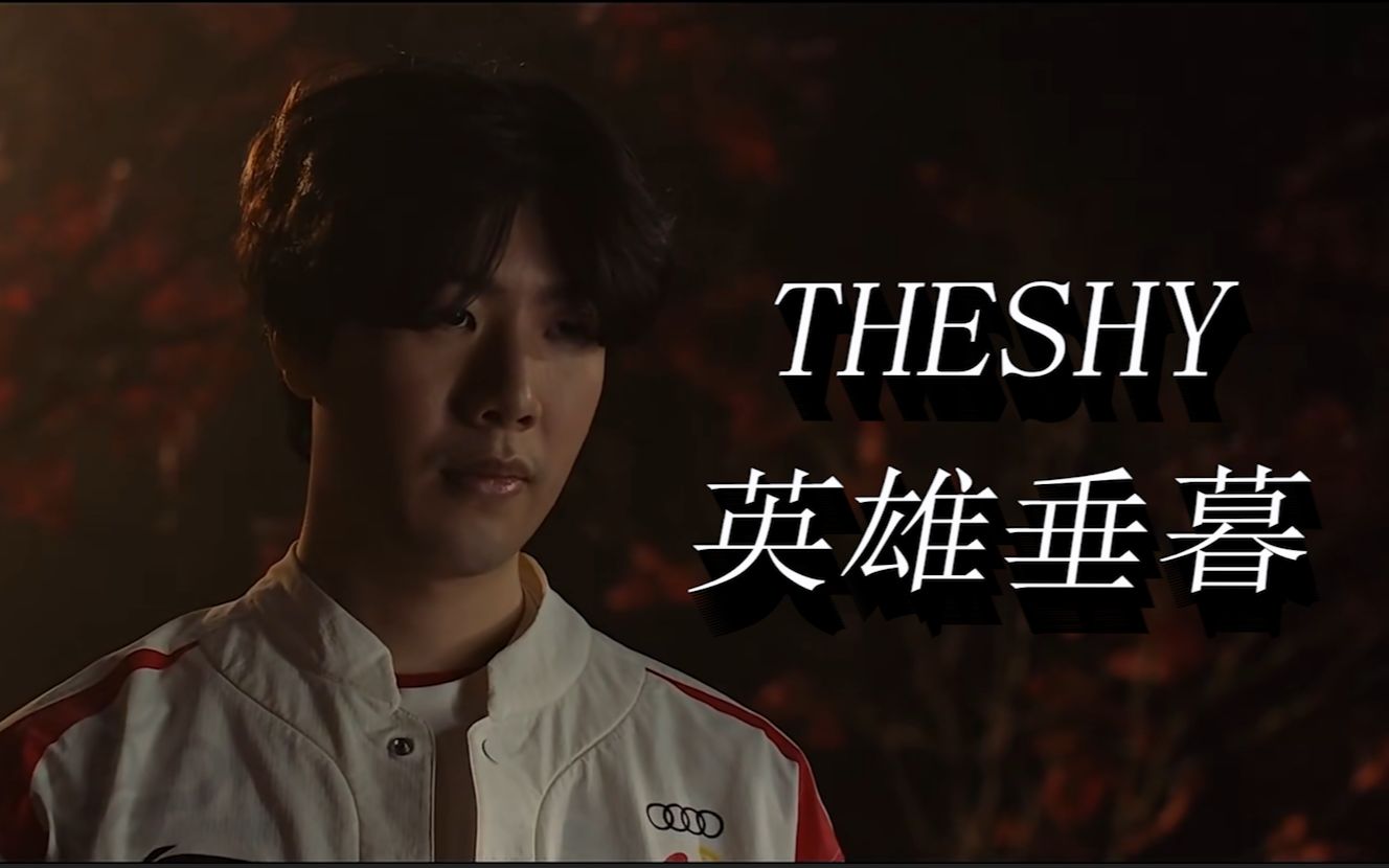 职业生涯的 职业生涯的